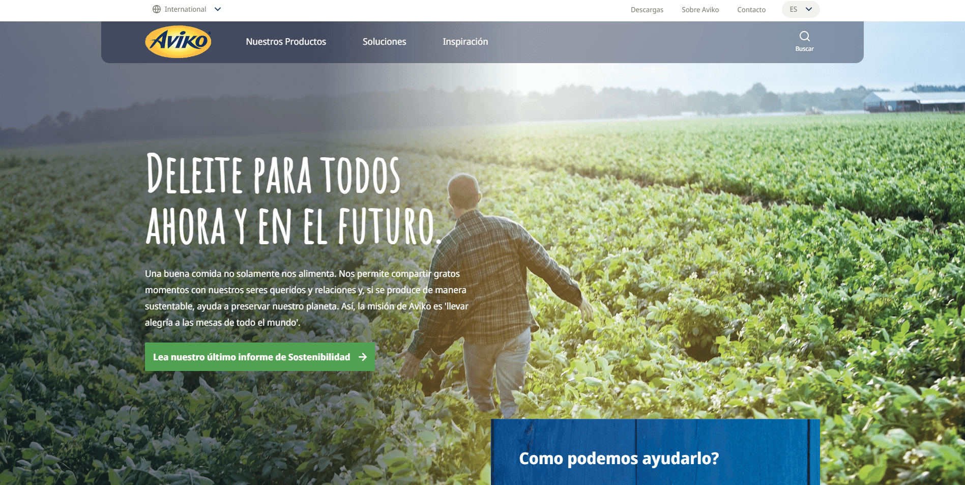 Spanish translation rollout